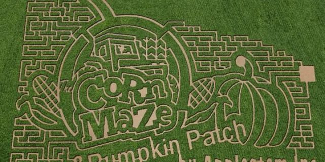 Applestem Corn Maze & Pumpkin Patch